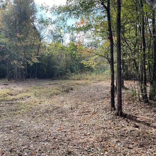 9.56 Acres Stegall Rd., Wesson, MS 39191