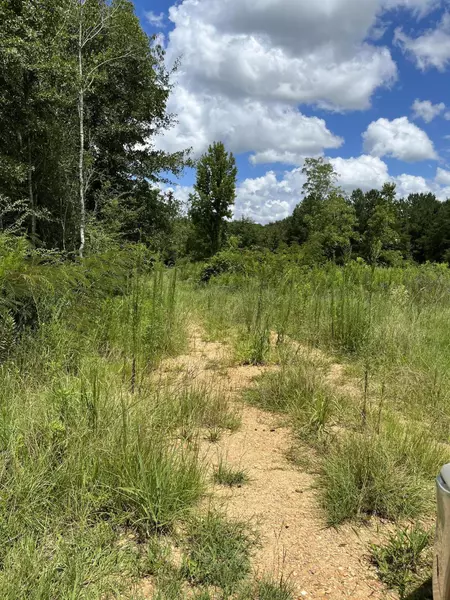 000 Old Hwy 84, Prentiss, MS 39474