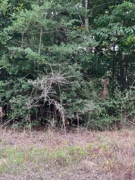 56 Flagstaff St., Lumberton, MS 39455