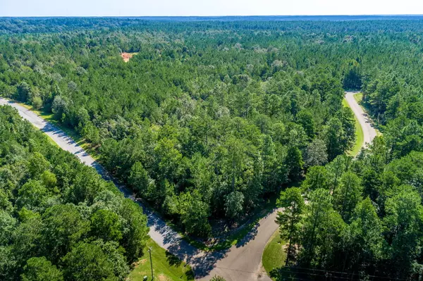 Lumberton, MS 39455,Lot D-15 Bent Pebble Point