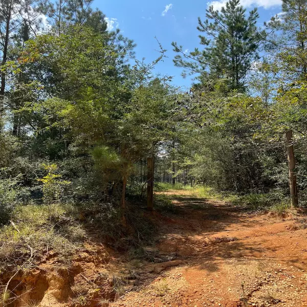 Parcel G Old River Rd., Moselle, MS 39459