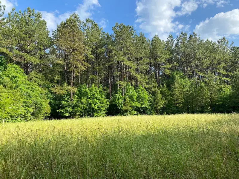 Parcel L Old River Rd., Moselle, MS 39459