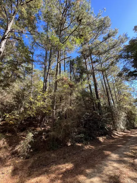 00 Frazier Hill, Sandy Hook, MS 39478