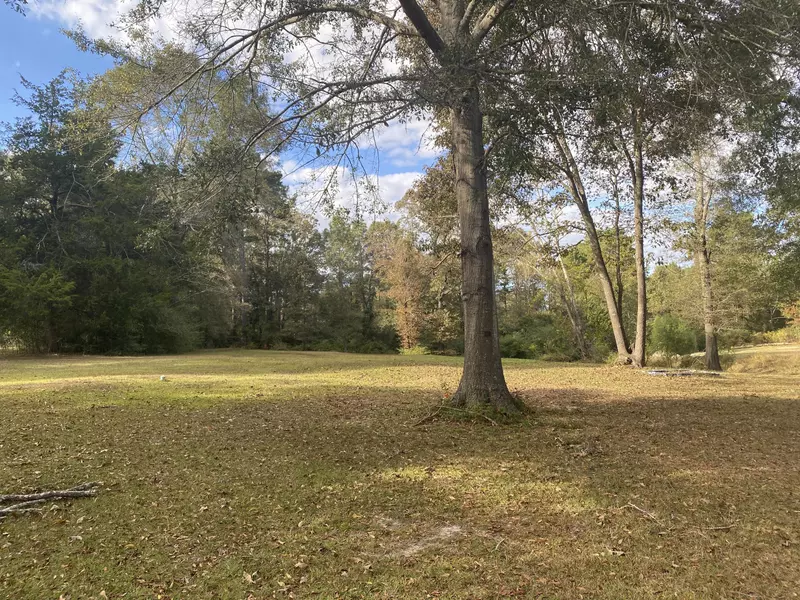 483 Moselle Oak Grove Rd., Moselle, MS 39459