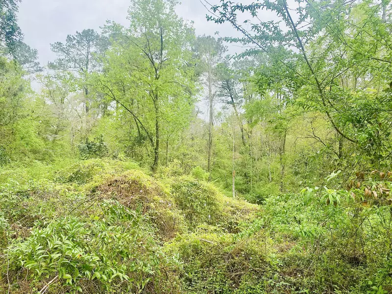 10 Gardiner Pl, Laurel, MS 39440