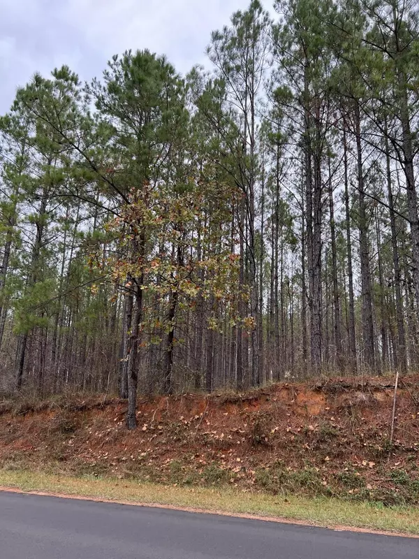 Chunky, MS 39323,Lot 7 7.59 Acres Point Wanita Lake Rd.
