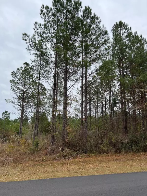 Lot 9 5.22 Acres Point Wanita Lake Rd., Chunky, MS 39323