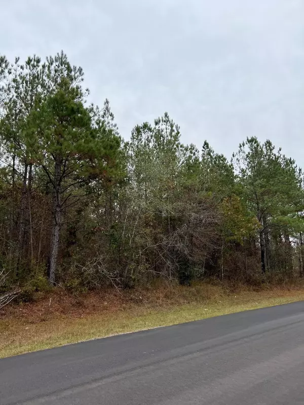 Chunky, MS 39323,Lot 11 2.46 Acres Point Wanita Lake Rd.