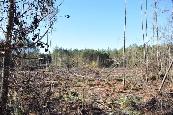 Mc Lain, MS 39456,0 Corbit Blvd.