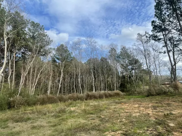 Laurel, MS 39443,20 Cactus Dr.