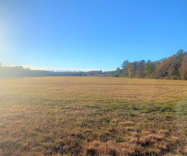 Ellisville, MS 39437,00 Palmer Rd