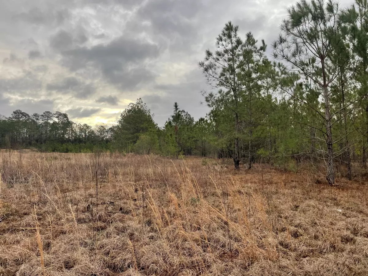 Columbia, MS 39429,Lot 8 Sumrall Rd.