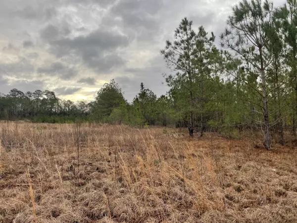 Columbia, MS 39429,Lot 8 Sumrall Rd.