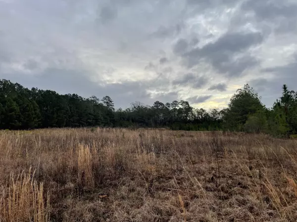 Columbia, MS 39429,Lot 9 Sumrall Rd.