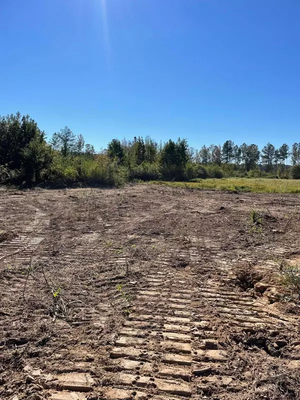 Columbia, MS 39429,Lot 4 River Rd