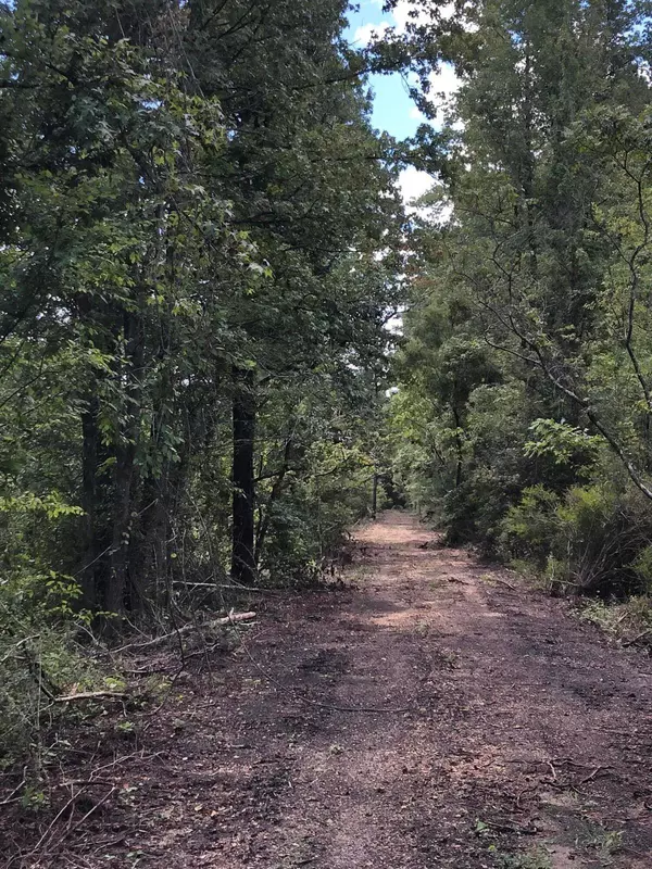 Columbia, MS 39429,Lot 8 River Rd.