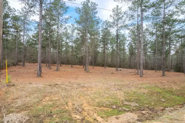 Lot 35 Jo Ann Dr., Sumrall, MS 39482