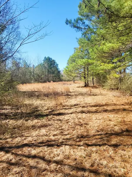 000 Cooley Springs-Coulter Rd., Mount Olive, MS 39119