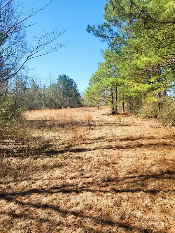 Mount Olive, MS 39119,000 Cooley Springs-Coulter Rd.