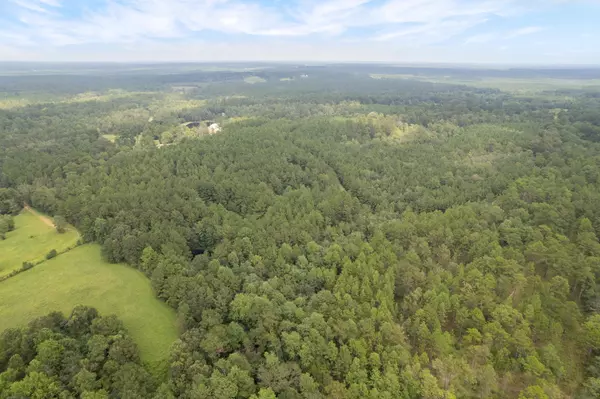 12 +/- Acres Edna Beach Rd., Poplarville, MS 39470