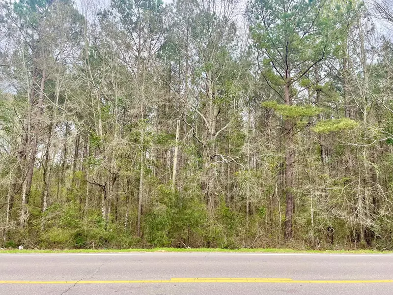 1441 MS-15, Richton, MS 39476