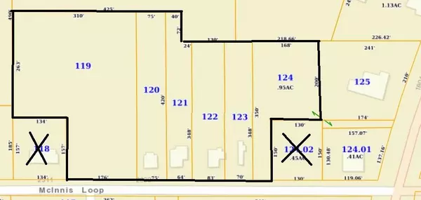 Hattiesburg, MS 39401,00 Mcinnis loop