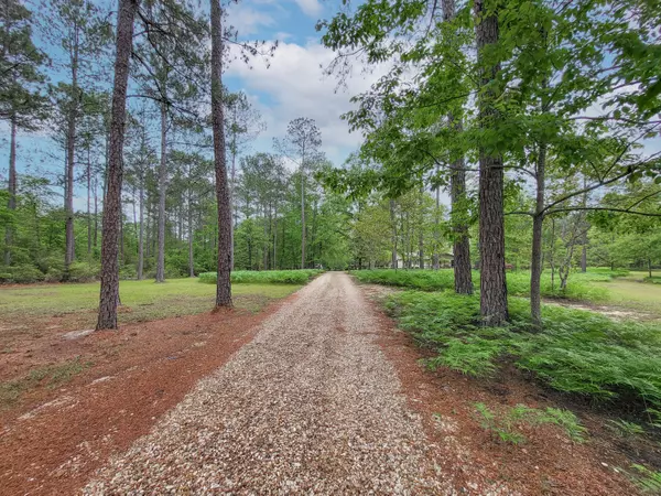 New Augusta, MS 39462,4363 MS-29