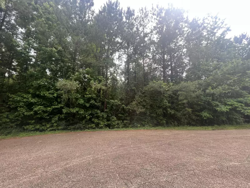 60 Ashbury Pl, Columbia, MS 39429