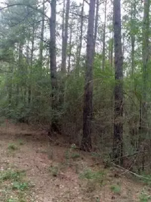 Carson, MS 39427,000 Lowell Garner Rd.