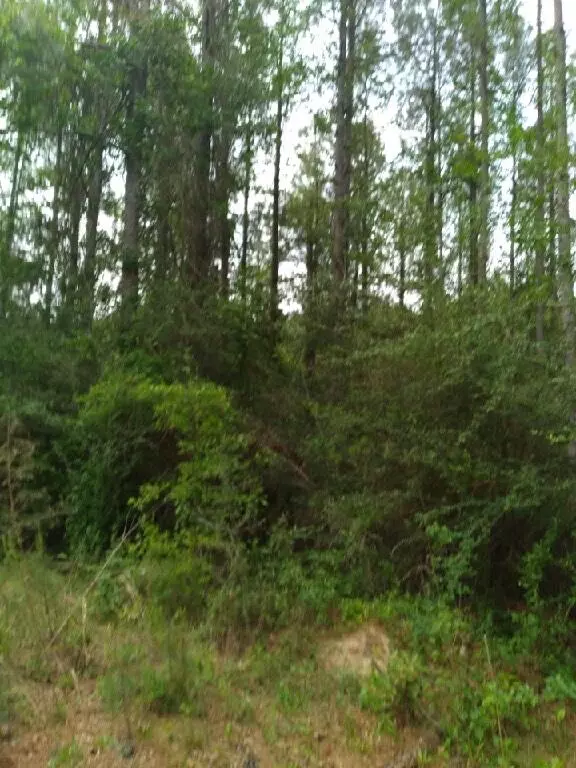 Carson, MS 39427,000 Lowell Garner Rd.