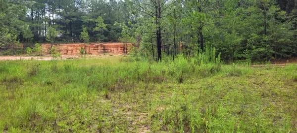 Lumberton, MS 39455,NHN Black Bear