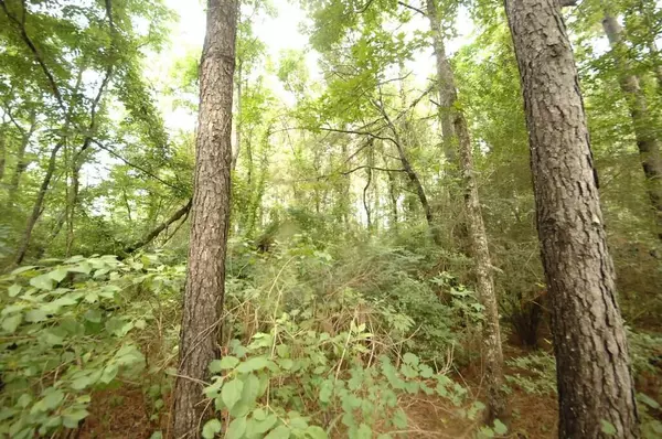 Oak Vale, MS 39656,00 Johnson Rd.