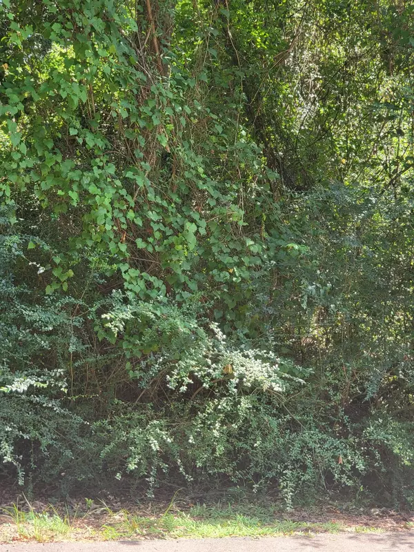 Carriere, MS 39426,Lot #1047 Edgewood Cir.