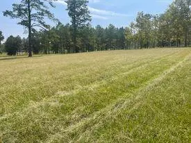 Lot #1 Off of County Home Rd., Ellisville, MS 39437