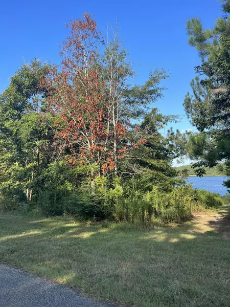 8 S Branch Banks, Lumberton, MS 39455