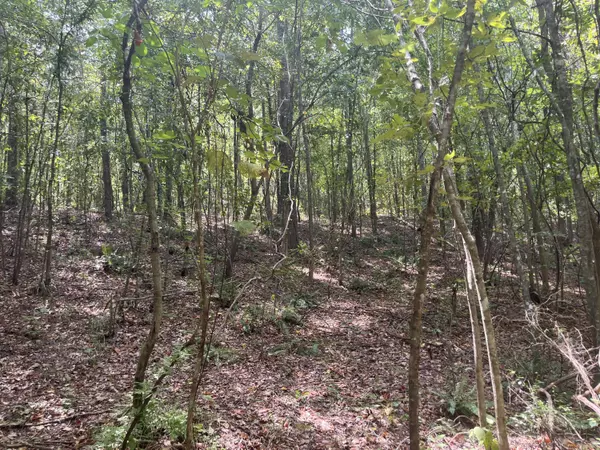 Hazlehurst, MS 39083,Parcel 1 Runnels Rd.