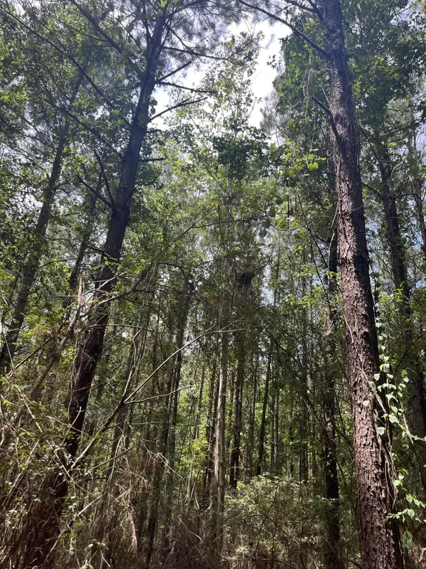 Hazlehurst, MS 39083,Parcel 4 Runnels Rd.