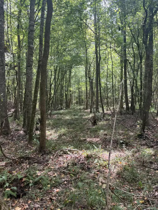 Hazlehurst, MS 39083,Parcel 2 Runnels Rd.