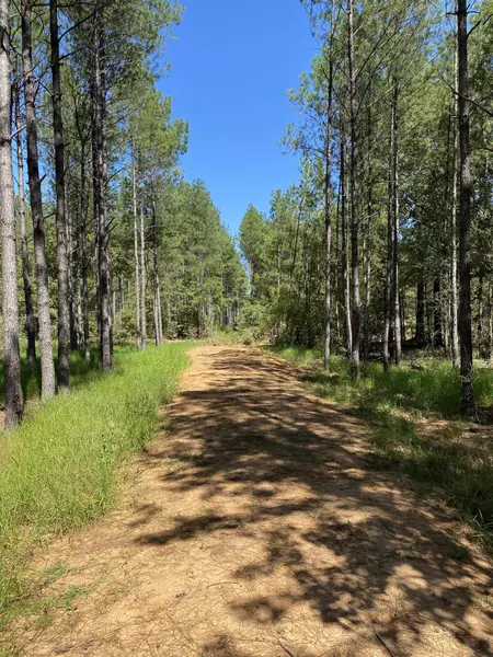 6.43 Acres Old River Rd., Moselle, MS 39459