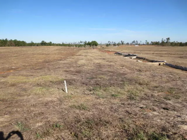 9 Read Rd, Ellisville, MS 39437