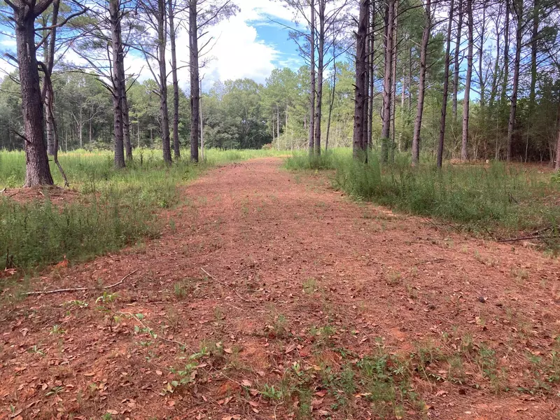 404 Ott Stanford Rd., Lumberton, MS 39455