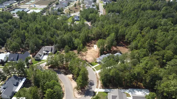 Hattiesburg, MS 39402,96 Baneberry