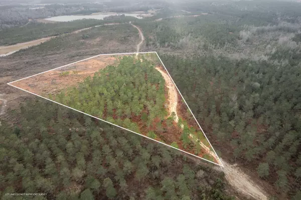 Sumrall, MS 39482,Lot 15 Frontier