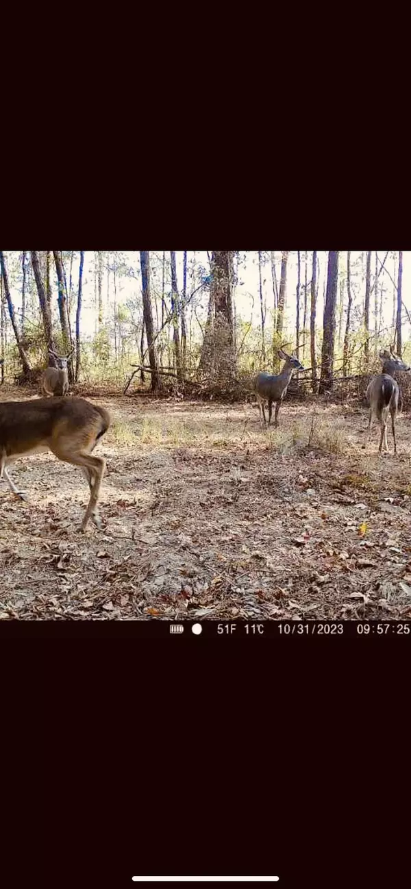 Oak Vale, MS 39656,0 Tolar