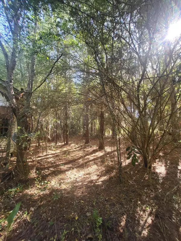 Seminary, MS 39479,000 Abercrombie Knight Rd.