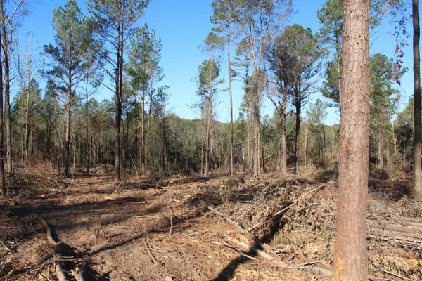 West Point, MS 39741,Parcel 4 Mac Pate Rd.