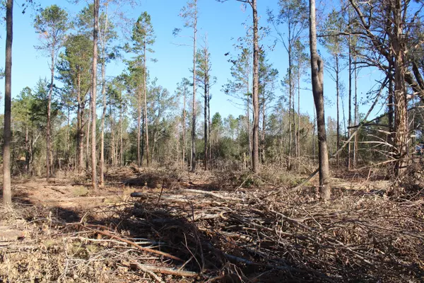 West Point, MS 39741,Parcel 4 Mac Pate Rd.