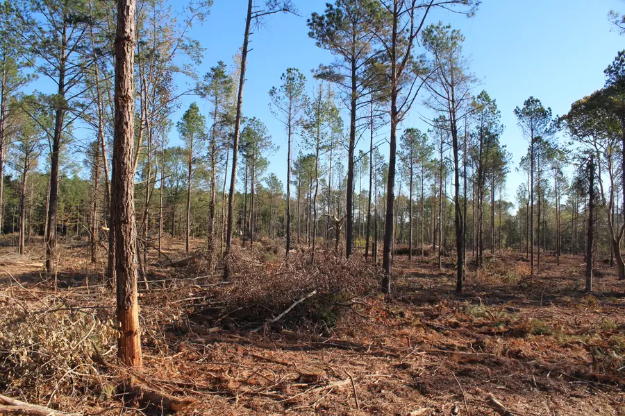 Parcel 5 Mac Pate Rd., West Point, MS 39741