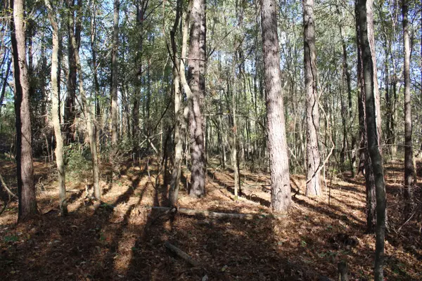 West Point, MS 39741,Parcel 8 Old Montpelier Rd.