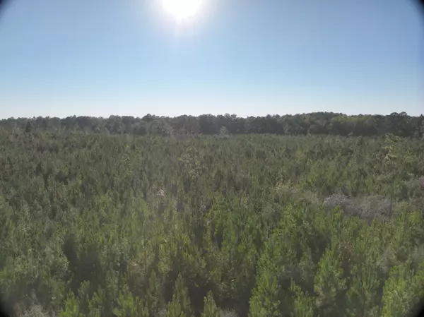 Columbia, MS 39429,462 Pope